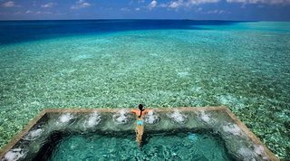 1X2 | Fotogallery pubblicata 12 febbraio 2021 alle ore 14,30 in punto